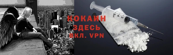 шишки Новокубанск
