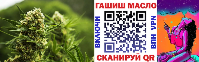 Купить закладки  Краснознаменск  ТГК концентрат 
