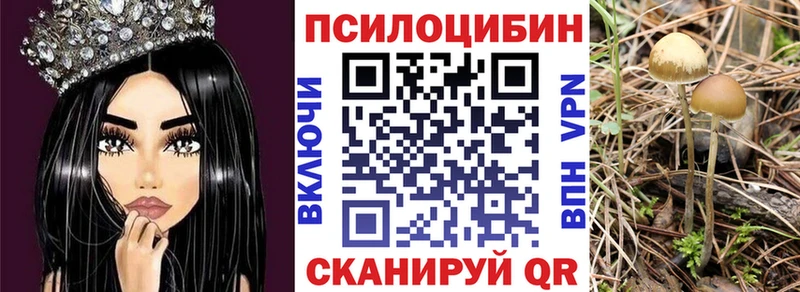 Галлюциногенные грибы прущие грибы  Купить закладки  Краснознаменск 
